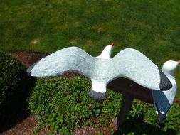 white gull on a green bush