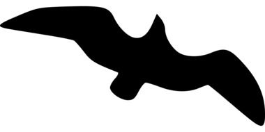Spread Silhouette drawing