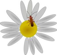 Bug and Daisy flower drawing