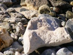 White Coral Stone on beach