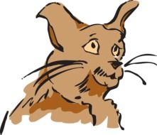 Cat Brown drawing