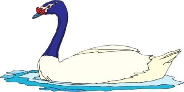 drawn swimming goose