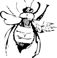 black and white picture of a bee on a white background