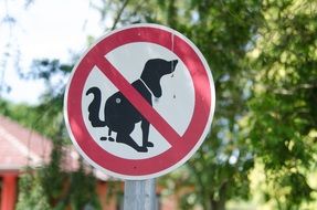 Dog Ban Sign in park