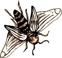 Bee Stripes Wings drawing