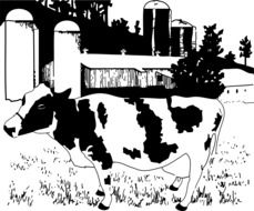 a cow on the background of the barn