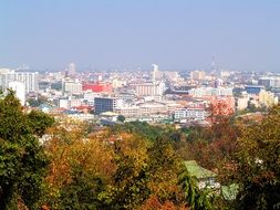 view of the houses behind the trees