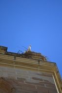 stork nesting on the bell tower, spain, barbastro