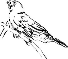 bird drawing with feathers on a branch