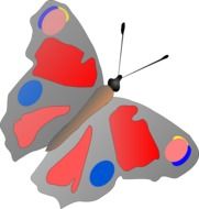 Butterfly Multicolored drawing