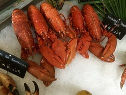 red Lobsters on ice at market, Sea Food