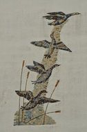 decor with geese on the wall