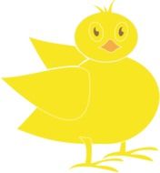 Picture of yellow chick