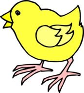 painted yellow chicken with pink paws