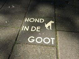 inscription on the sidewalk hond in de goot