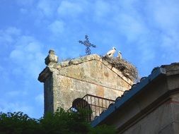 storks nest on the old bell tower
