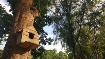 wooden birdhouse on a thick tree trunk