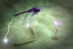 blue dragonfly in a fantastic landscape