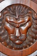 Strenght of the lion