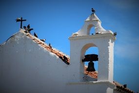 pigeons in the church bell tower