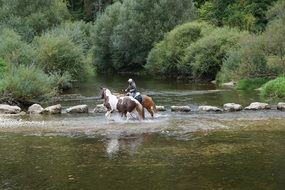 Horse and rider on the water