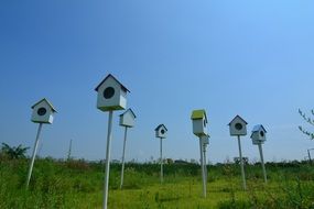 birdcages on lawn