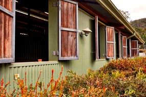 Windows on a traditional building walls