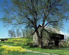 Barn Log House