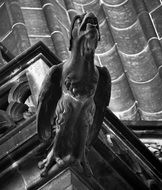 gothic Gargoyle St Vitus Cathedral