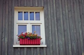 pink flower box on a building window