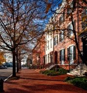 old street with red pavement at fall, usa, Washington Dc, Lafayette Park