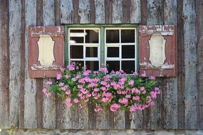window with flowers old wooden building
