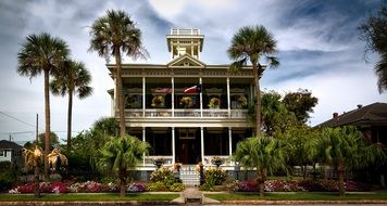 beautiful house with palm trees in texas