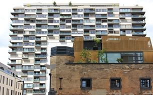 trees on the terrace of a building