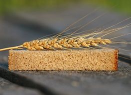 wheat spikes on the bread slice