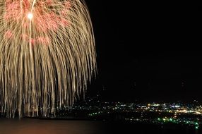 Ball Fireworks in the night sky