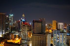 view of the night city with skyscrapers