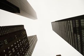 cityscape skyscrapers in Manhattan