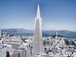 Towers in city on coast, usa, california, san francisco