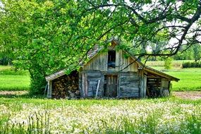 wooden shed in the countryside