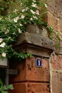 overgrown post with house number