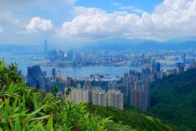 Hong Kong panorama from the height of green mountains