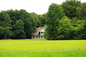 swiss house in the trees