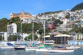 Wellington City port view in New Zealand