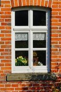 House with Window