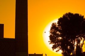 Uzbekistan silhouettes at sunset