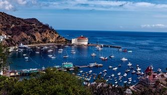 nice Catalina Island