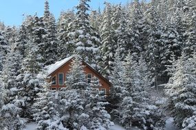 House in the forest in winter