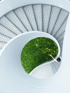 White Spiral Staircase with the plants