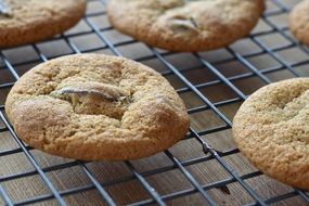 Chocolate cookies